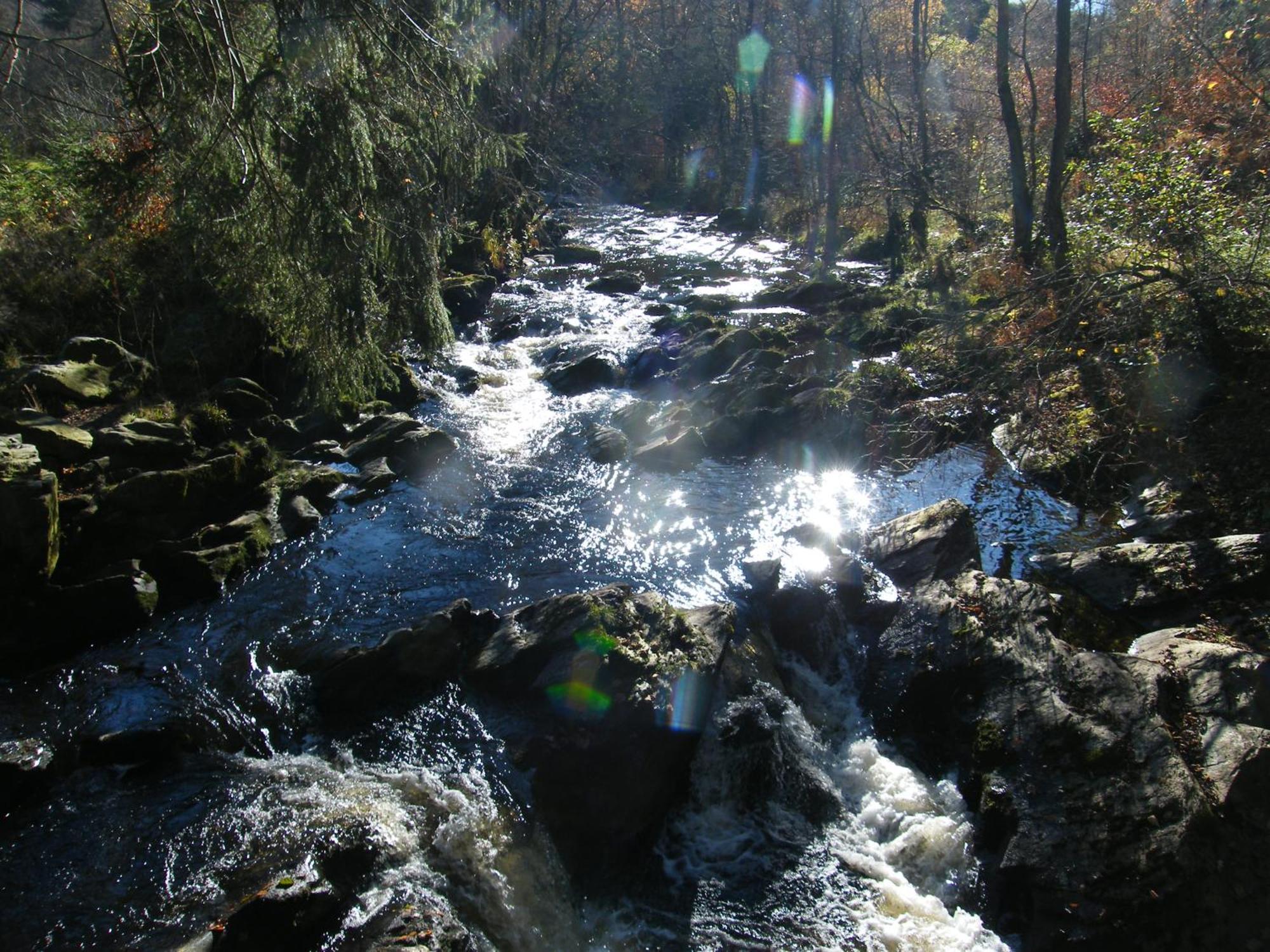 Apartment Am Fluss Im Haus An Der Rur 몬샤우 외부 사진